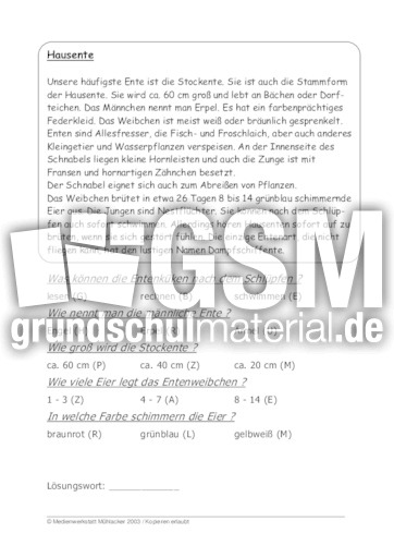 Hausente.pdf